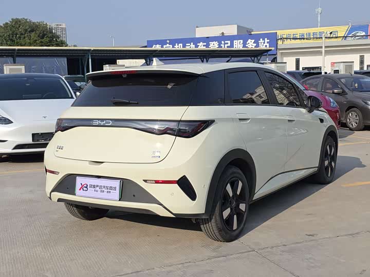 BYD Dolphin 2025 2025款 智驾版 410km 时尚版