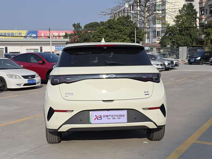 BYD Dolphin 2025 2025款 智驾版 410km 时尚版