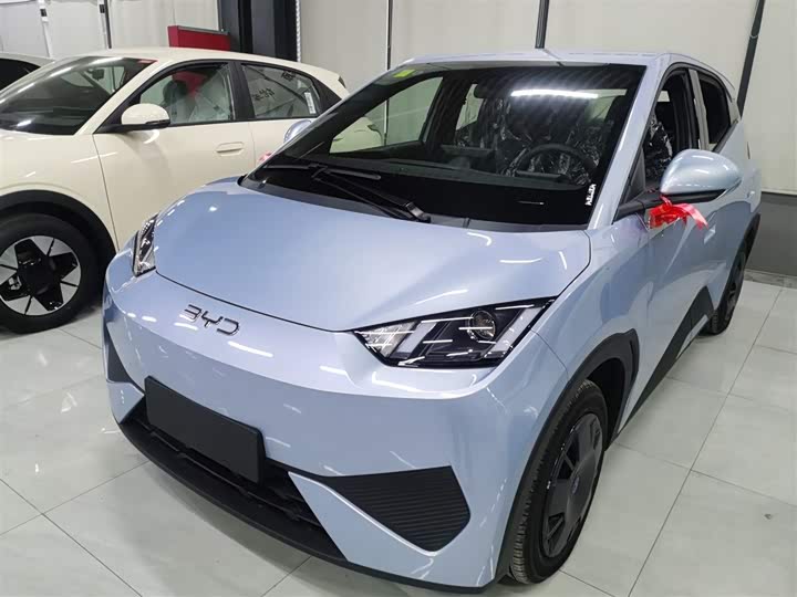 BYD Seagull 2025 2025款 智驾版 305km 活力版