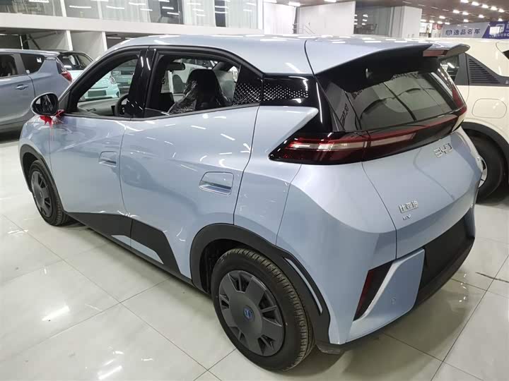 BYD Seagull 2025 2025款 智驾版 305km 活力版