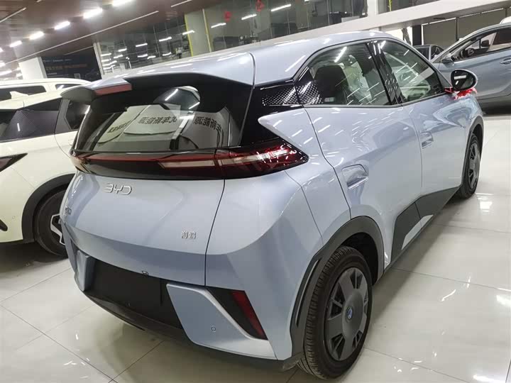 BYD Seagull 2025 2025款 智驾版 305km 活力版