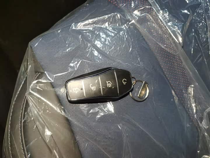 BYD Seagull 2025 2025款 智驾版 305km 活力版