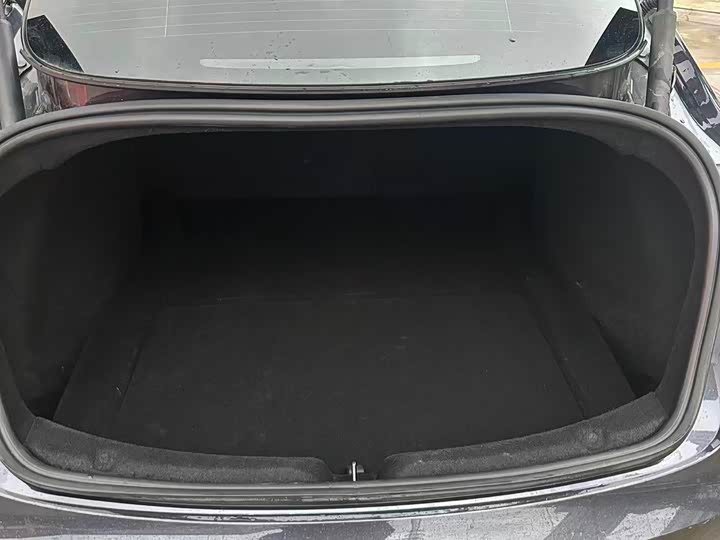 Tesla Model 3 2025 2025款 后轮驱动版