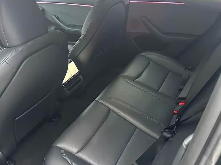 Tesla Model 3 2025 2025款 后轮驱动版