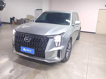 GAC Trumpchi GS8 2024 2024款 双擎系列 2.0TM 四驱尊贵版