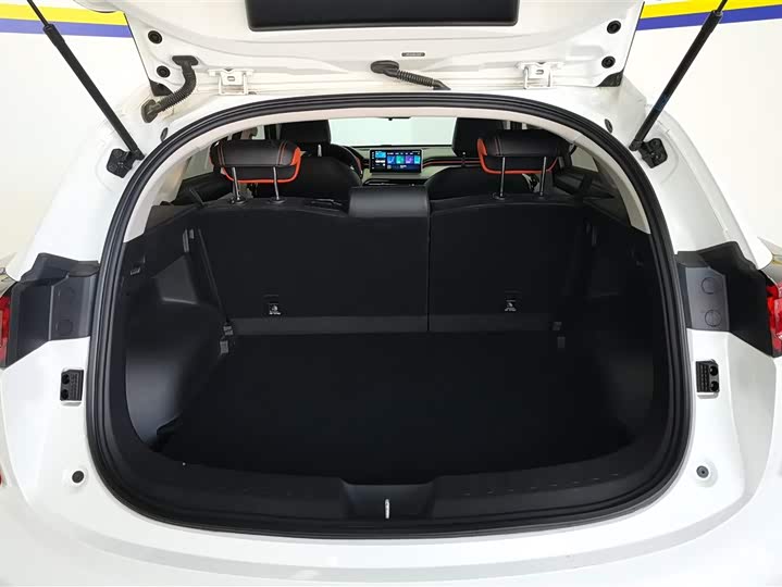 Haval Chitu 2021 2021款 激擎版 1.5T 黄金兔