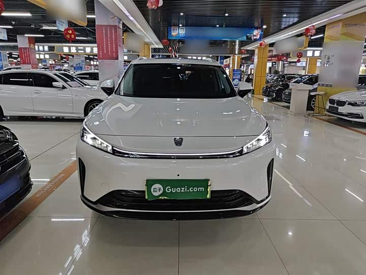 2024 Roewe D5X DMH