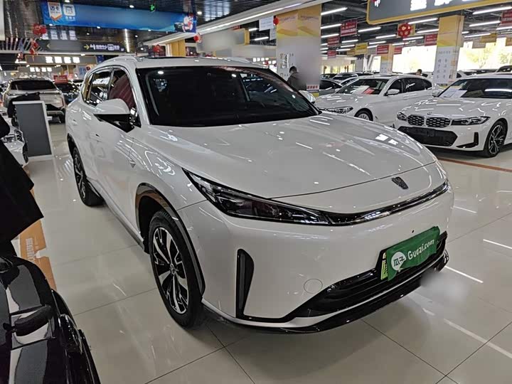 2024 Roewe D5X DMH
