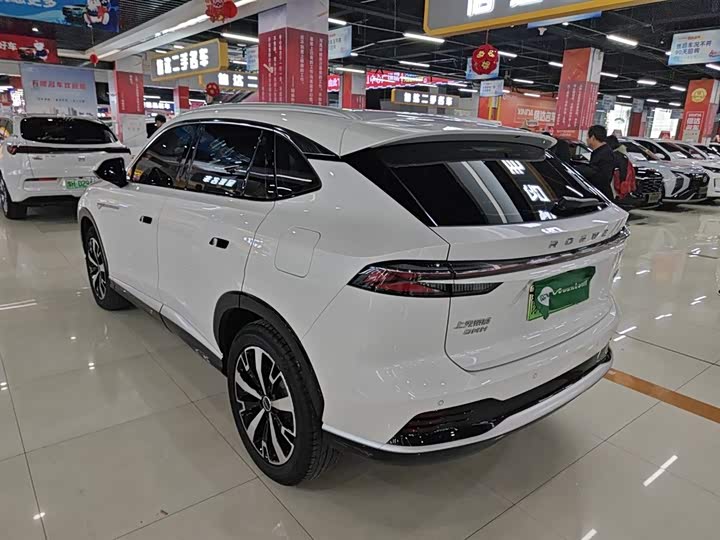 2024 Roewe D5X DMH