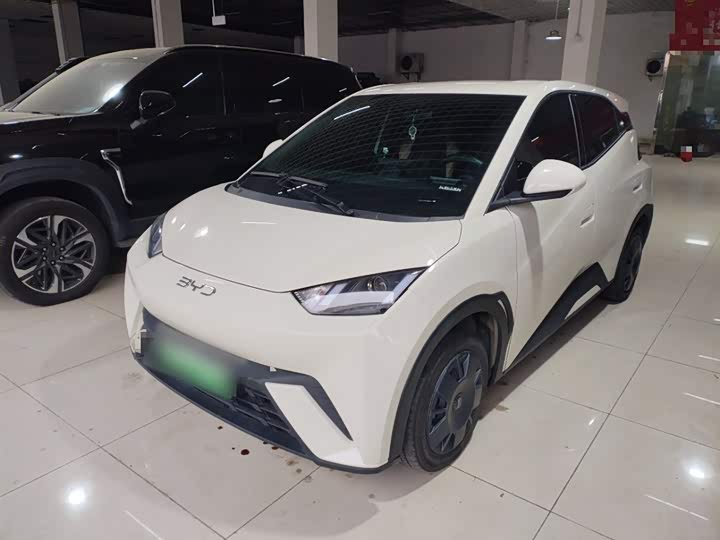 BYD Seagull 2025 2025款 305km 活力版