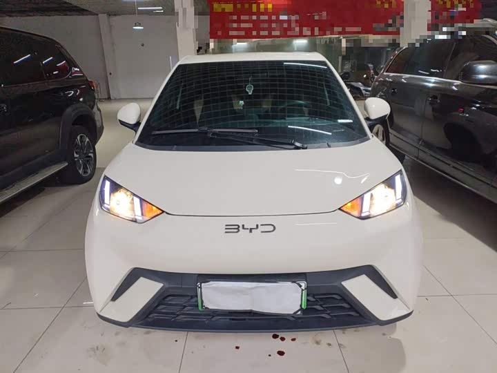 BYD Seagull 2025 2025款 305km 活力版