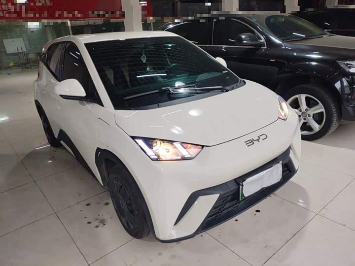 BYD Seagull 2025 2025款 305km 活力版