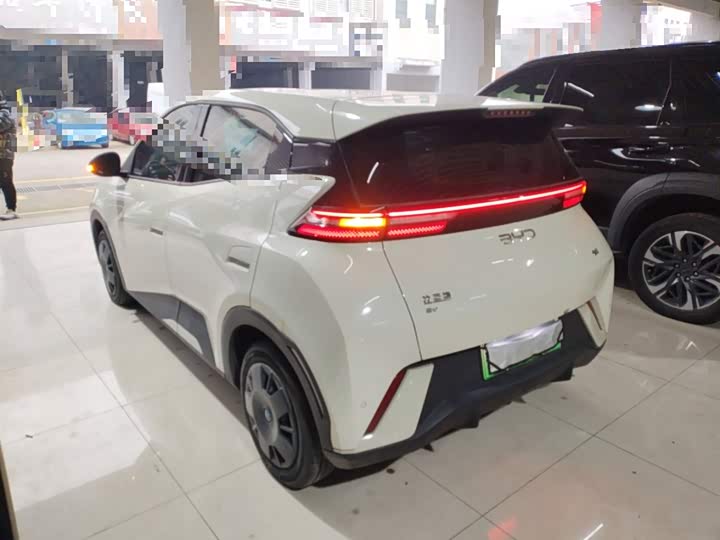 BYD Seagull 2025 2025款 305km 活力版