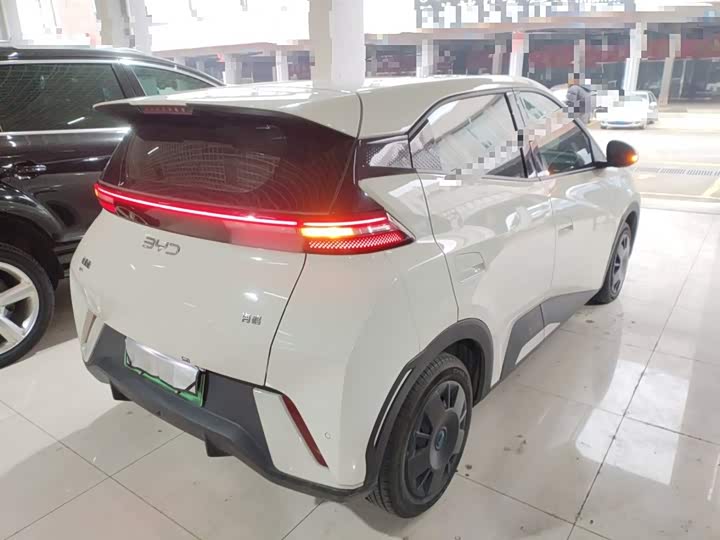 BYD Seagull 2025 2025款 305km 活力版