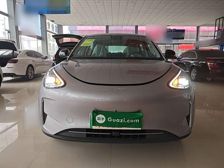 Geely Galaxy Geome 2026 2026款 310km 梦想版