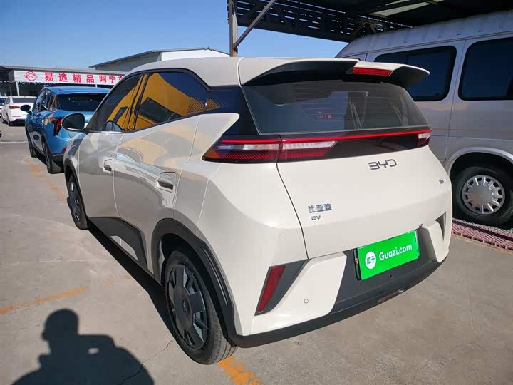 BYD Seagull 2025 2025款 305km 活力版