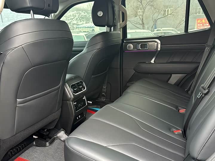 Tank 400 Hybrid 2024 2024款 Hi4-T 越野版