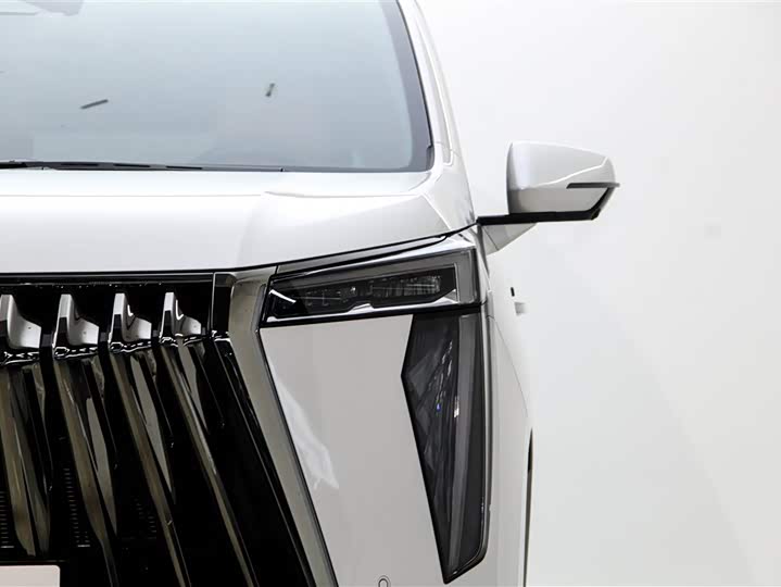 GAC Trumpchi E9 2024 2024款 E9 冠军版