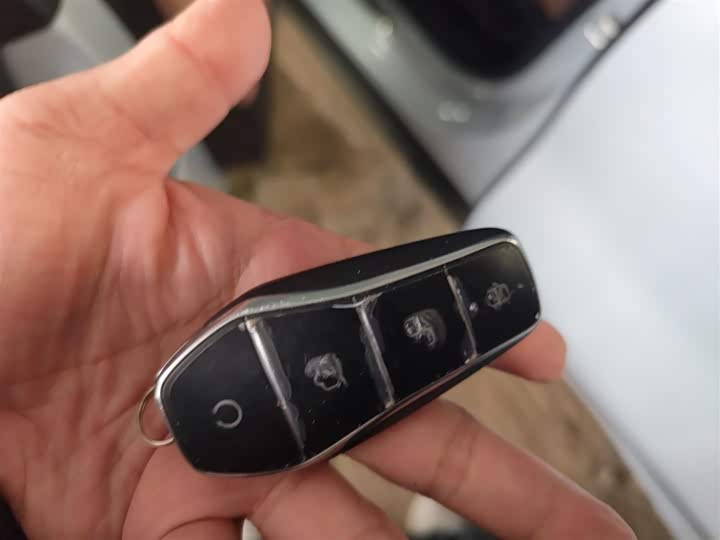 BYD Destroyer 05 2024 2024款 荣耀版 DM-i 55KM 豪华型