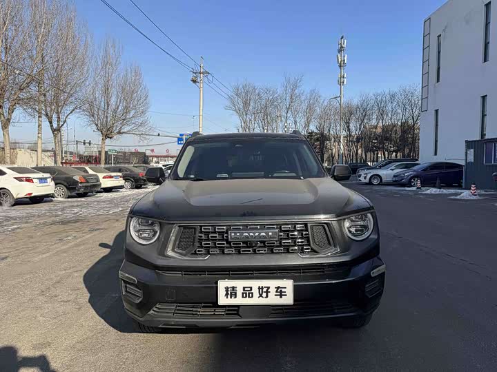 Haval H-Dog 2023 2023款 1.5T 两驱潮野版Plus