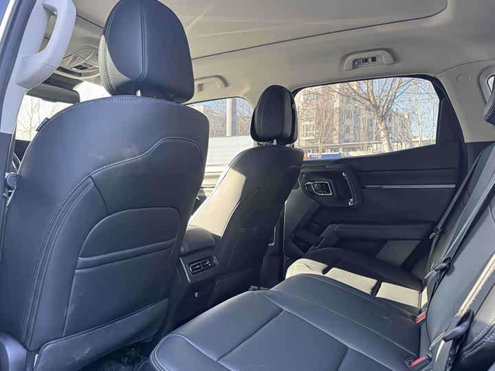 Haval H-Dog 2023 2023款 1.5T 两驱潮野版Plus