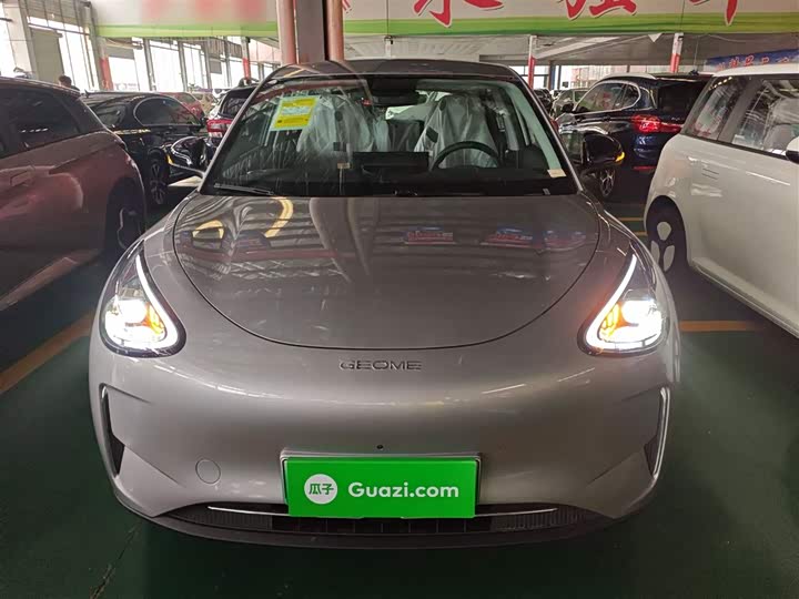 Geely Galaxy Geome 2026 2026款 310km 梦想版