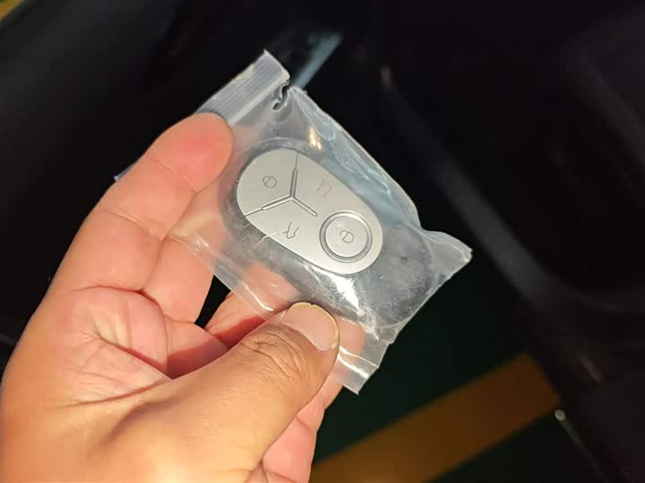 Geely Galaxy Geome 2026 2026款 310km 梦想版