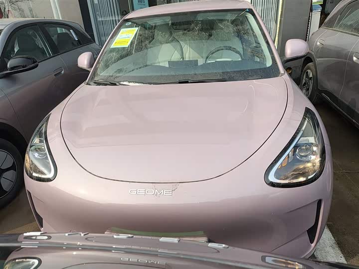 Geely Galaxy Geome 2026 2026款 310km 青春版