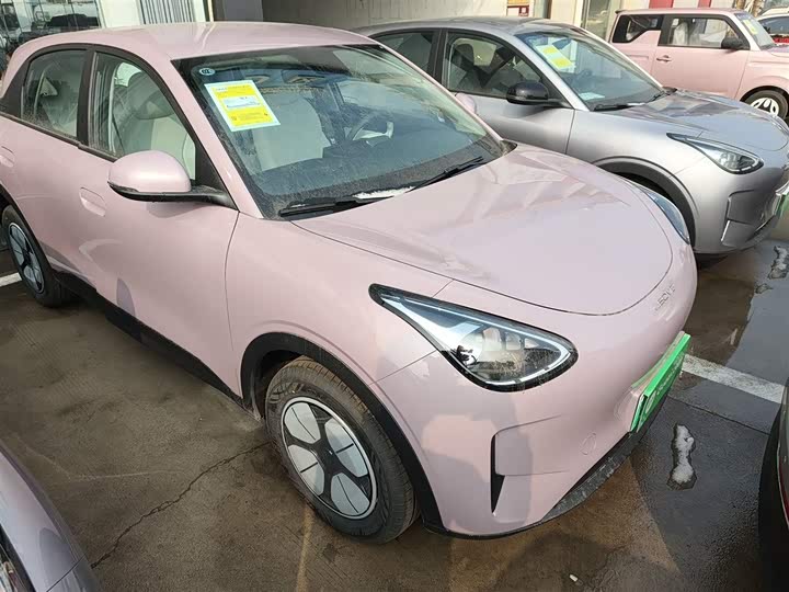 Geely Galaxy Geome 2026 2026款 310km 青春版