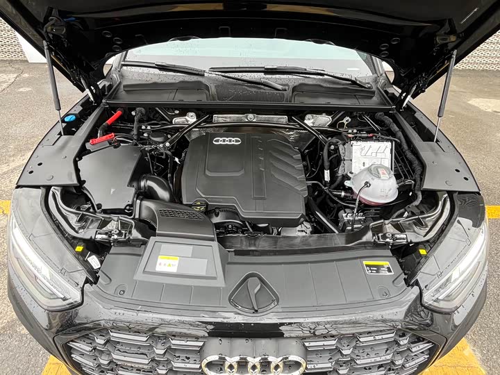 Audi Q5L 2025 2025款 45周年典藏版 45 TFSI 豪华动感型