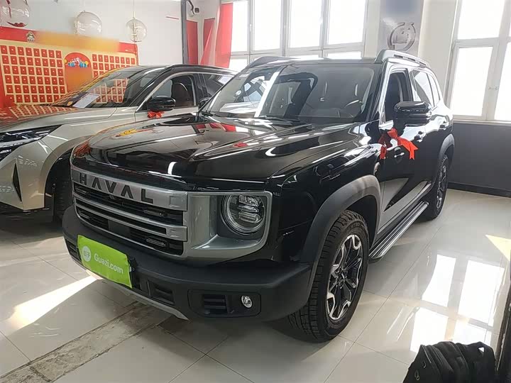 Haval Dargo 2024 2024款 2.0T DCT中华田园犬版