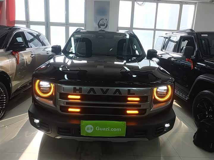 Haval Dargo 2024 2024款 2.0T DCT中华田园犬版