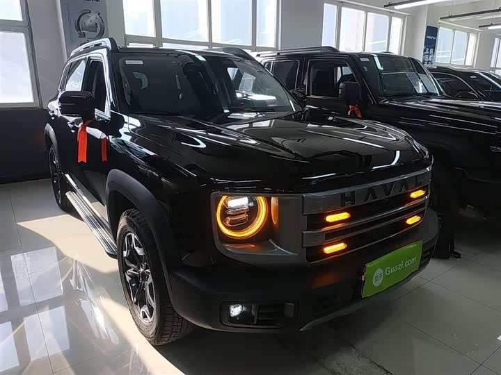 Haval Dargo 2024 2024款 2.0T DCT中华田园犬版