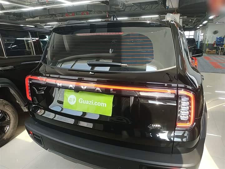 Haval Dargo 2024 2024款 2.0T DCT中华田园犬版