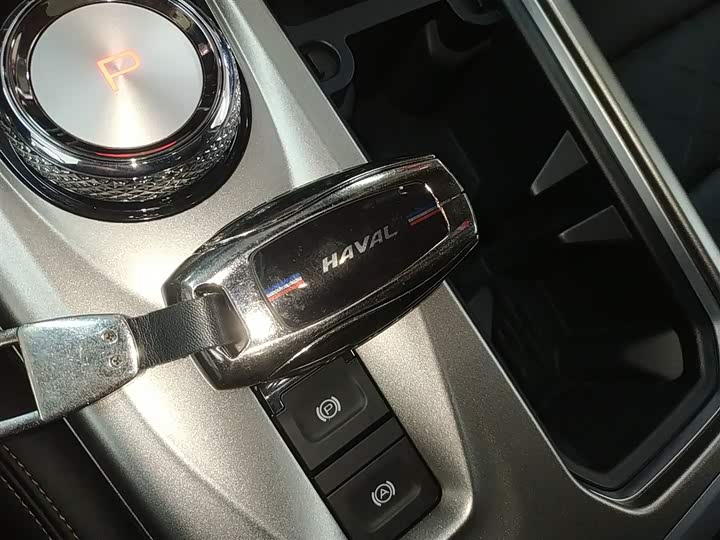 Haval Dargo 2024 2024款 2.0T DCT中华田园犬版