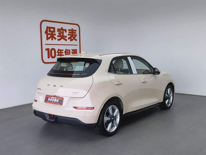 Ora Good Cat (03) 2023 2023款 401km标准续航 豪华型 磷酸铁锂