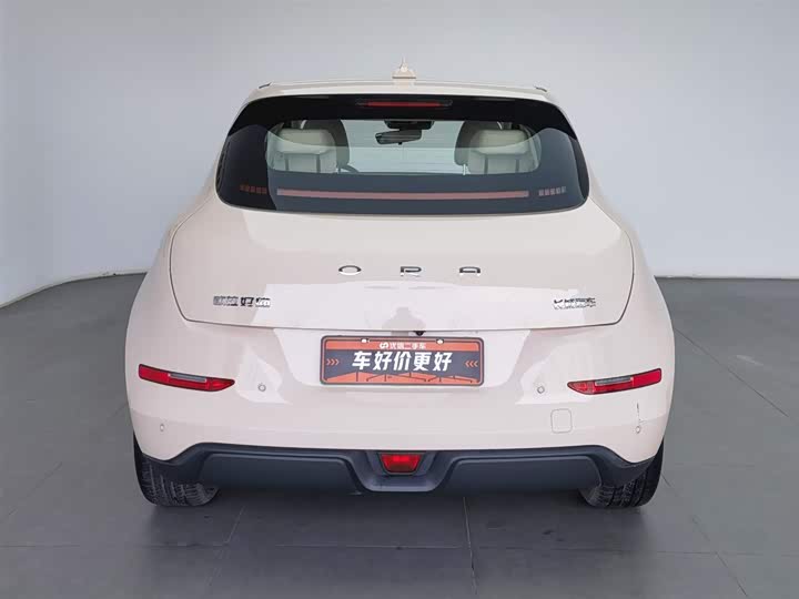 Ora Good Cat (03) 2023 2023款 401km标准续航 豪华型 磷酸铁锂
