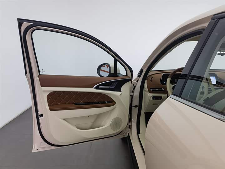 Ora Good Cat (03) 2023 2023款 401km标准续航 豪华型 磷酸铁锂