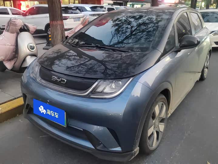 2025 BYD Dolphin