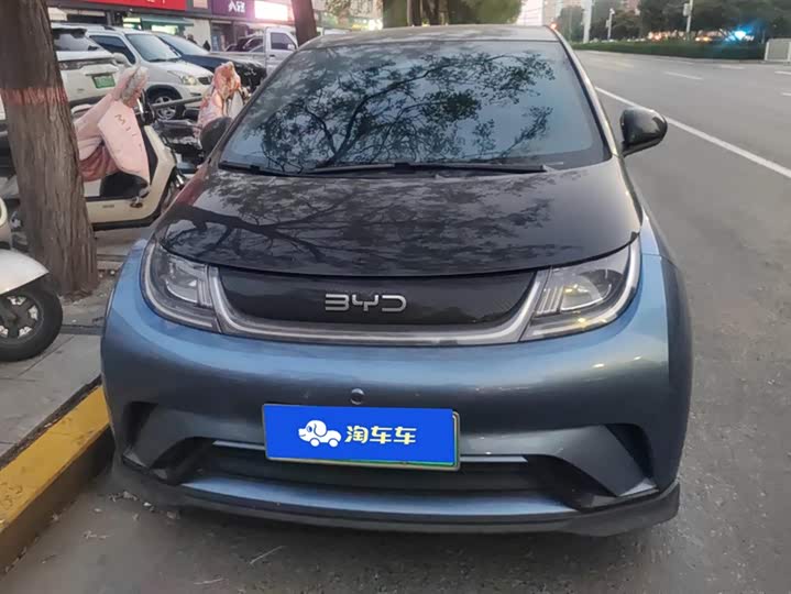 2025 BYD Dolphin