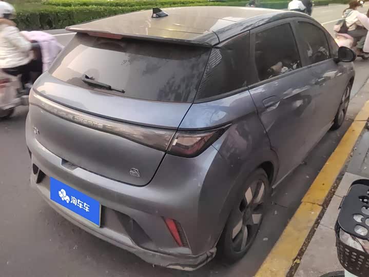 2025 BYD Dolphin