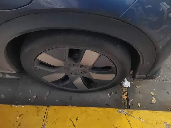 BYD Dolphin 2025 2025款 520km 骑士版