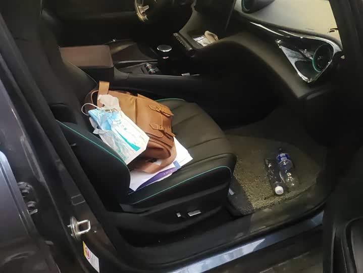 BYD Dolphin 2025 2025款 520km 骑士版