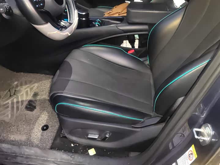 BYD Dolphin 2025 2025款 520km 骑士版