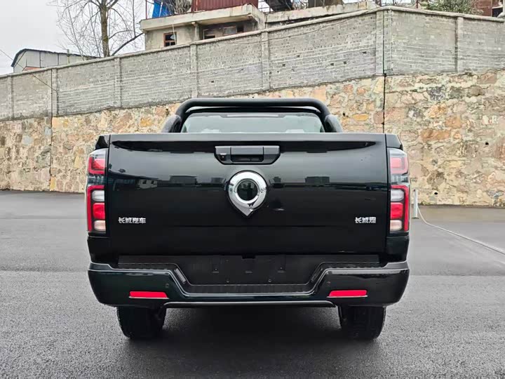Great Wall Pao 2026 2026款 2.0T商用炮手动汽油四驱领航型长箱
