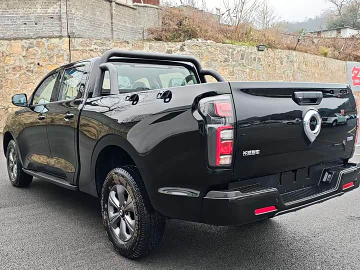 Great Wall Pao 2026 2026款 2.0T商用炮手动汽油四驱领航型长箱