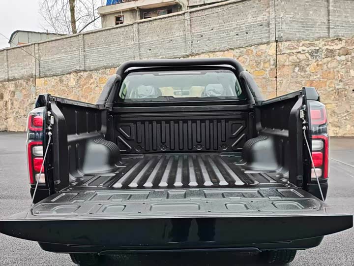 Great Wall Pao 2026 2026款 2.0T商用炮手动汽油四驱领航型长箱