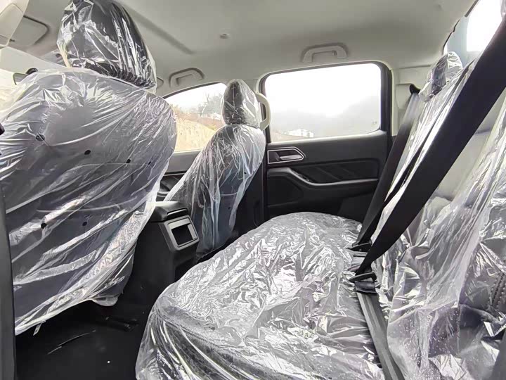 Great Wall Pao 2026 2026款 2.0T商用炮手动汽油四驱领航型长箱