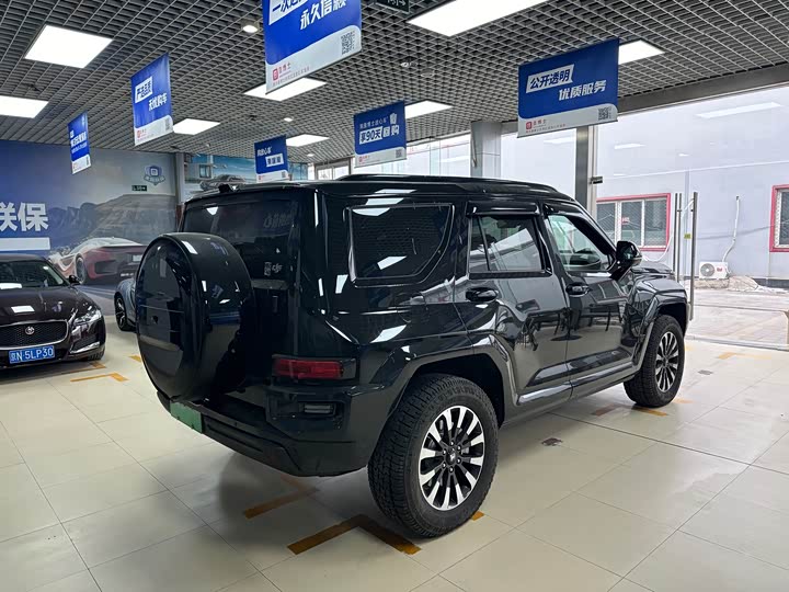 Tank 700 Hybrid 2024 2024款 Hi4-T 极致版