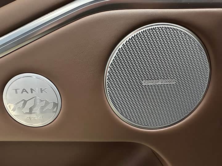 Tank 700 Hybrid 2024 2024款 Hi4-T 极致版